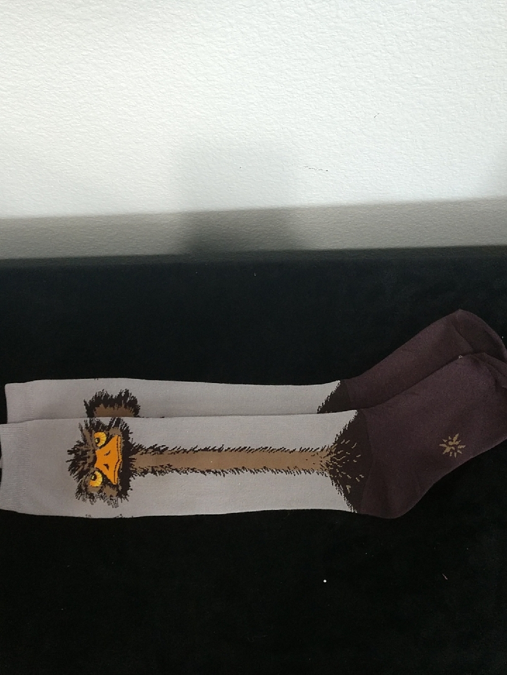 Women's Gray and Brown Novelty Ostrich Socks